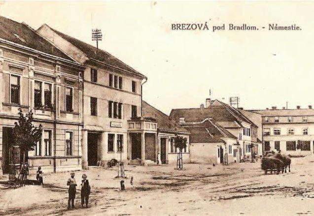 Penzion Tvarozek *** Brezova pod Bradlom Exterior photo